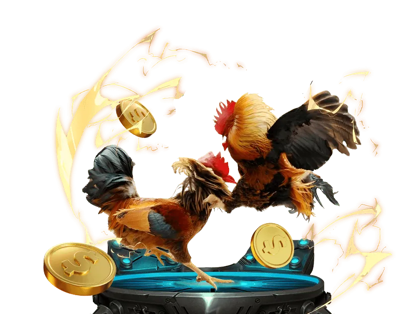 Hỗ trợ khách hàng chuyên nghiệp